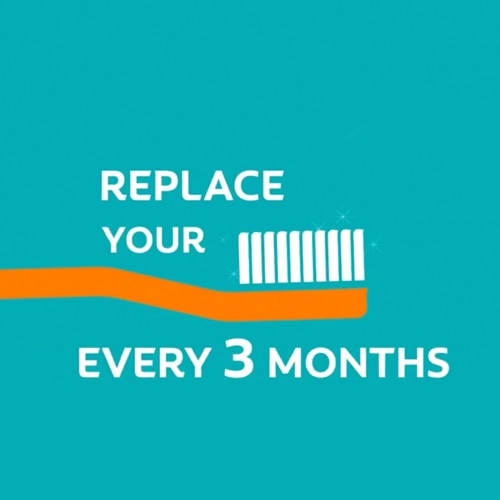 Toothpaste general asset