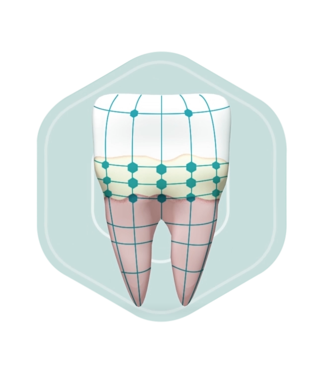 Pro Argin® Toothpaste Efficacy - Docimo